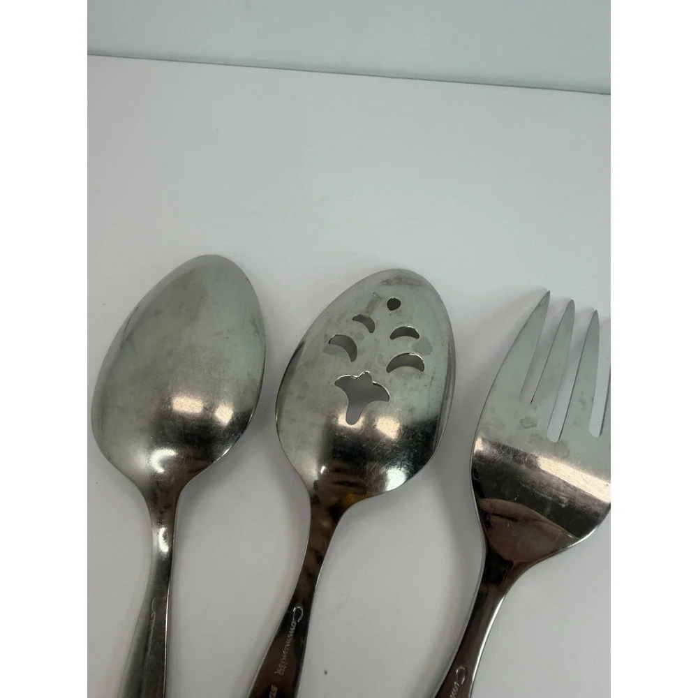 Oneida Community FROSTFIRE Stainless Set Slotted Serving Spoons Meat Fork